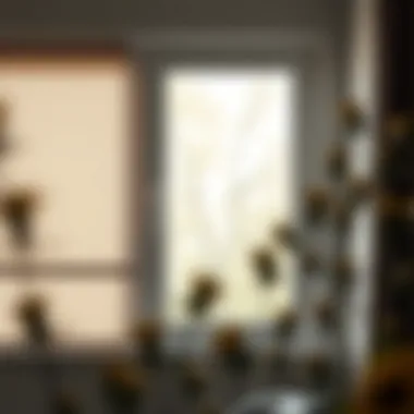 Illustration of Levelor blind clips installed within a window frame