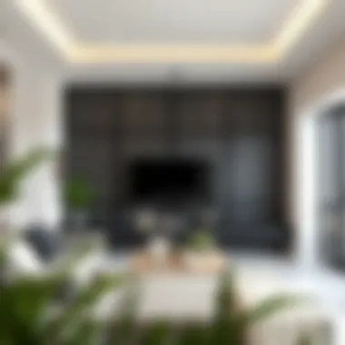 Stylish Wall Screen in a Modern Setting Stylish wall screen dividing a modern living space